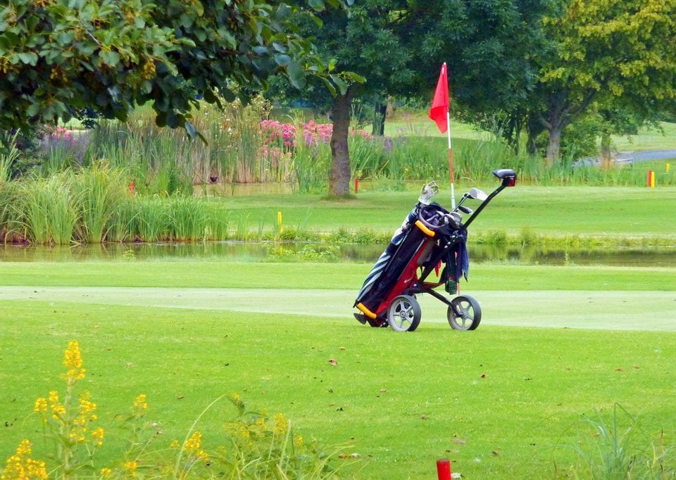 Best-golf-bags-for-push-cart