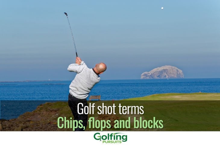 Golf shot terms